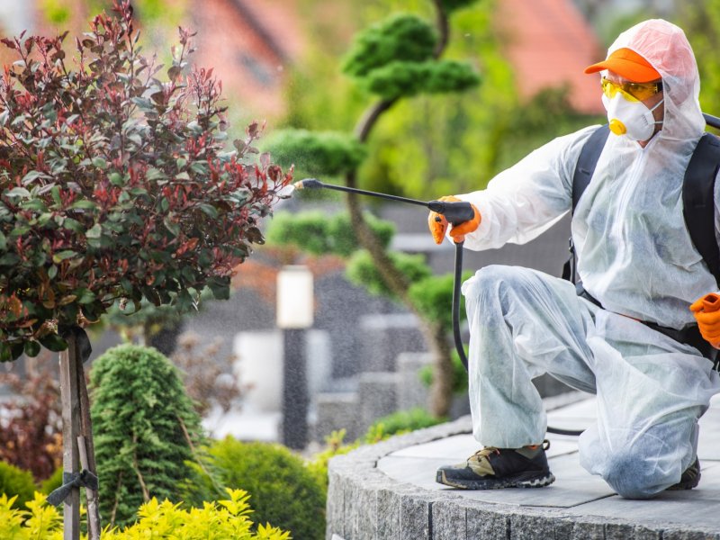 Derbent Haşere İlaçlama